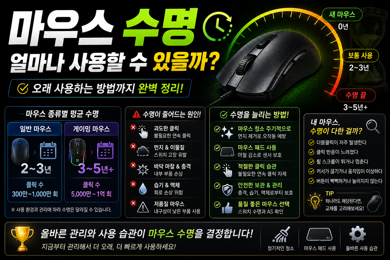 마우스 수명 완벽 가이드 인포그래픽 썸네일